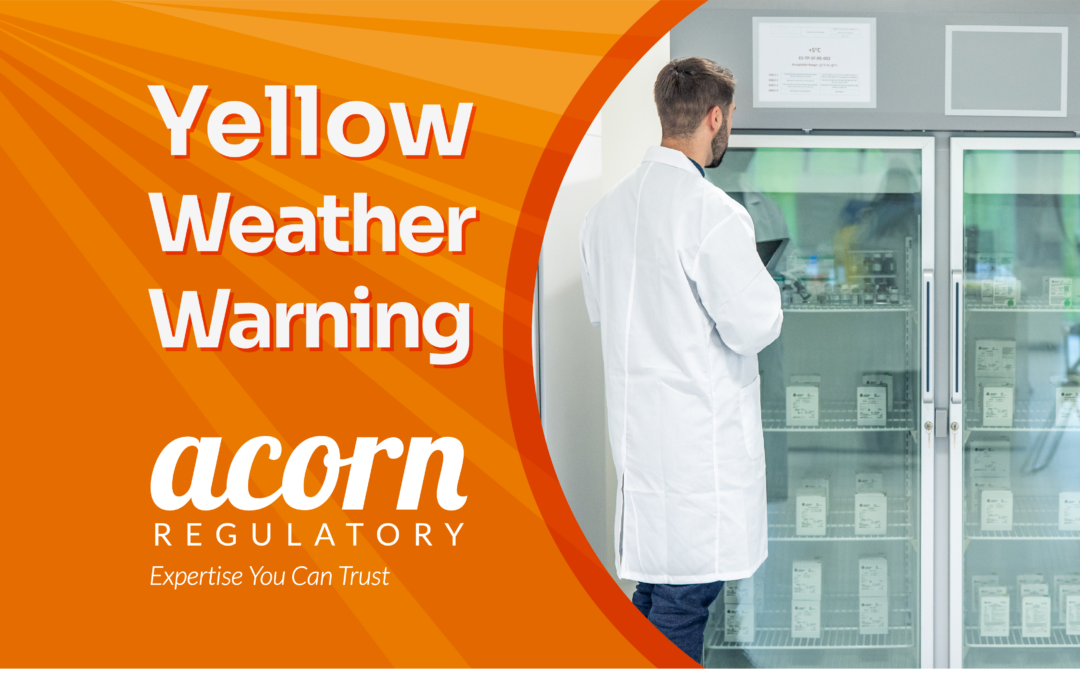 Rising Summer Temperatures: Protecting Pharmaceutical Warehouses Through GDP Compliance.