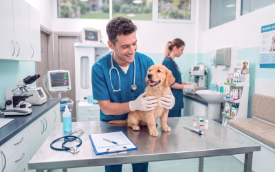 Veterinary Medicinal Products (VMPs) – Key Distribution Framework 2026